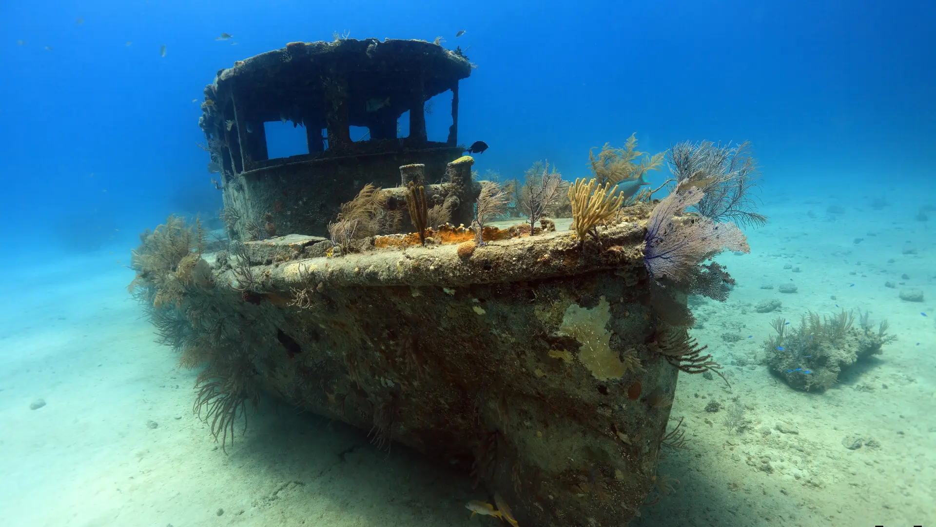 10 Chilling Shipwrecks That Changed Canadian History Forever.